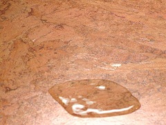 Cork Flooring's Water Resistant Properties
